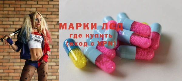 эйфоретик Баксан