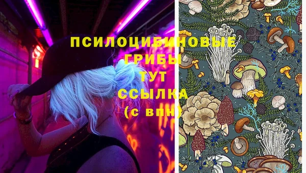 эйфоретик Баксан