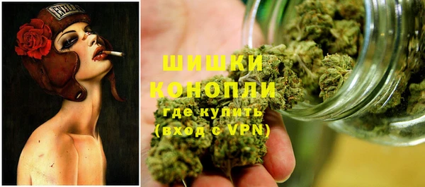 соль ск Рославль