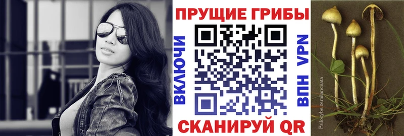 Псилоцибиновые грибы Psilocybine cubensis  даркнет телеграм  Белоусово 